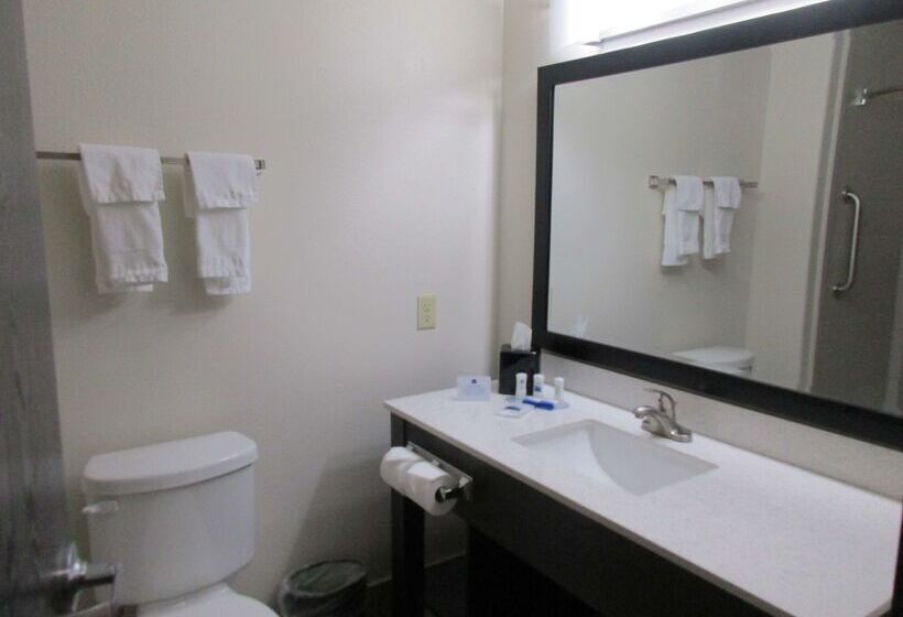 هتل Best Western Plus Ardmore Inn & Suites