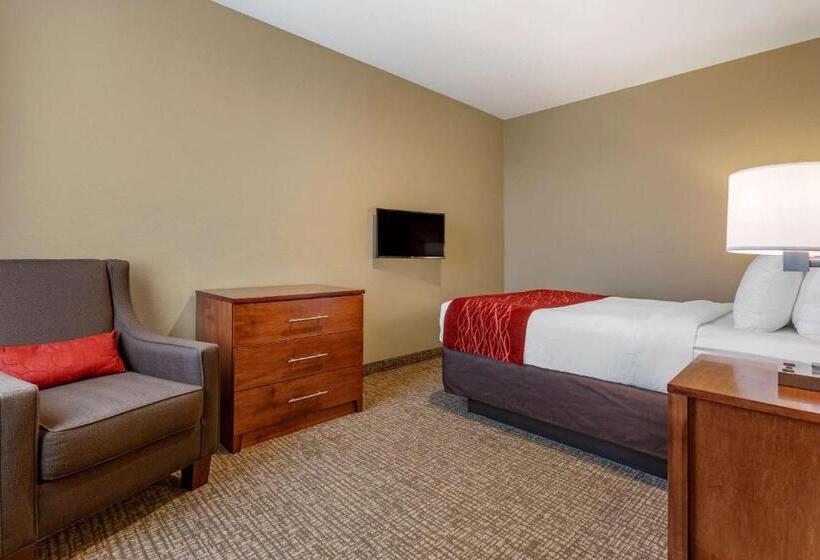 هتل Comfort Inn & Suites Near Mt. Rushmore