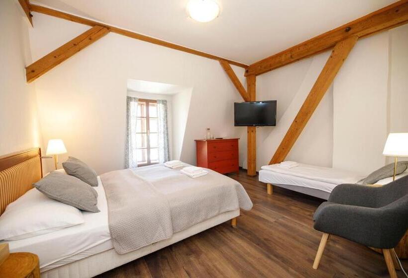 ホテル Dvůr Pecínov