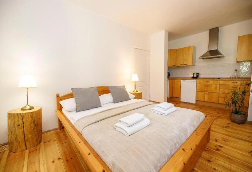 ホテル Dvůr Pecínov