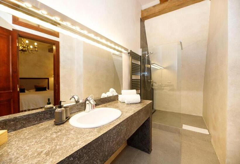 ホテル Dvůr Pecínov