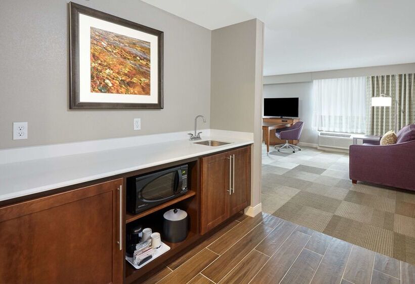 Отель Hampton Inn Fond Du Lac