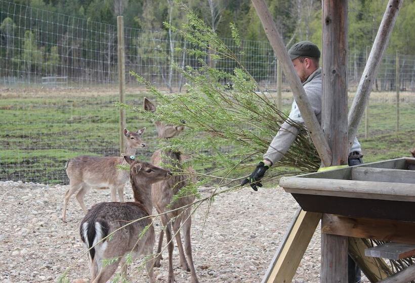 östermalma Vandrarhem