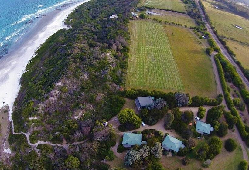 فندق Sandpiper Ocean Cottages