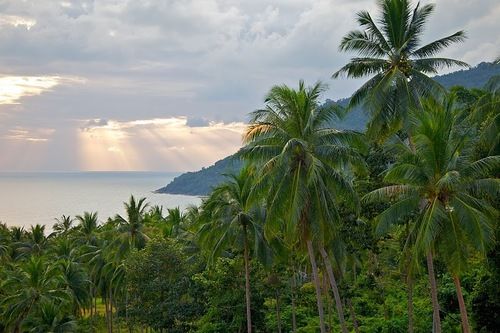 בית מלון כפרי Nirvana Detox Healing Center