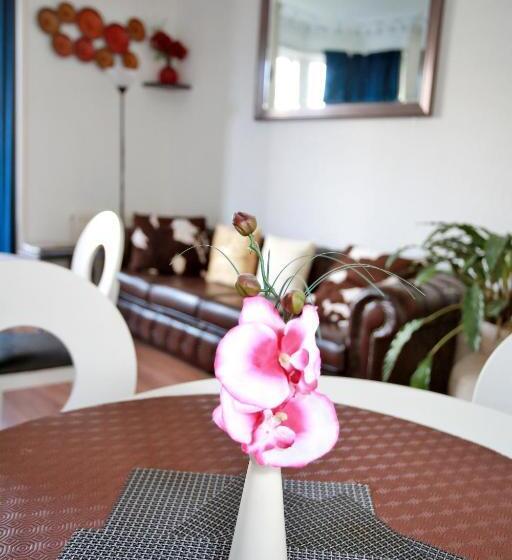 ペンション Citihouse Aberdeen West End