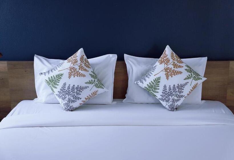 فندق صغير Chiangmai Inn Guesthouse