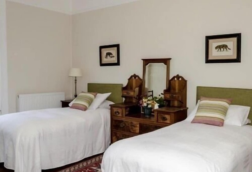 مبيت وإفطار The Lions