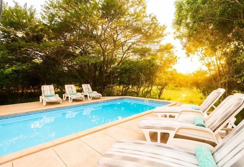 בית מלון כפרי Leopard Walk Lodge