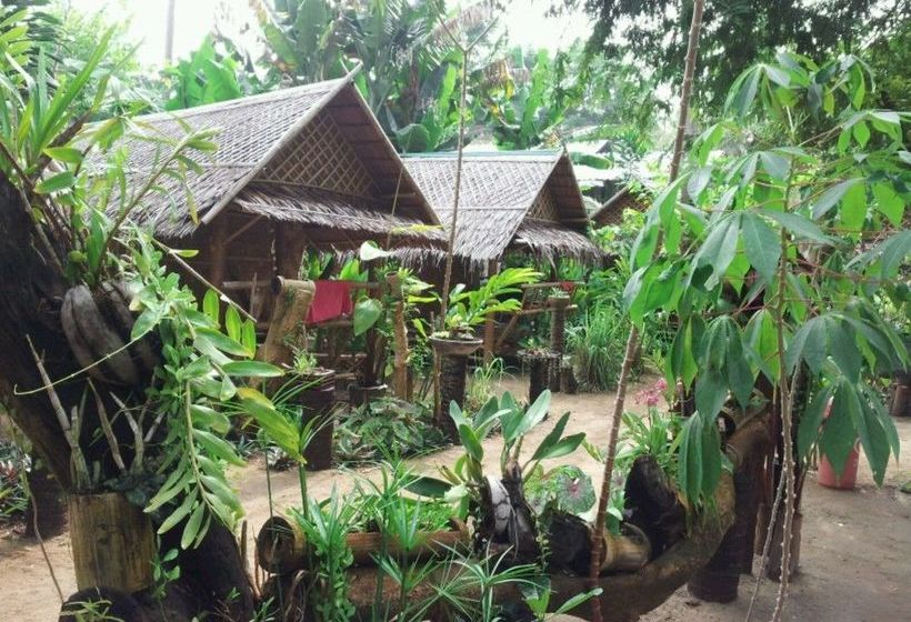 Jackie Bamboo House - Hostel