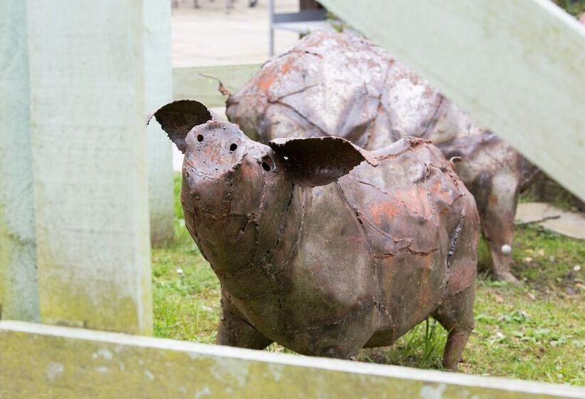 ホテル The Curious Pig In The Parlour