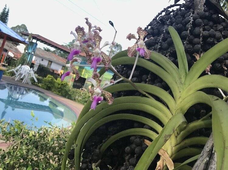 Finca Hotel La Rivera