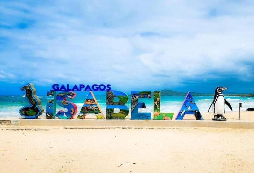 هتل Hospedaje Delfin Azul