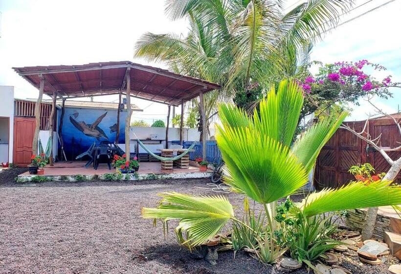 هتل Hospedaje Delfin Azul