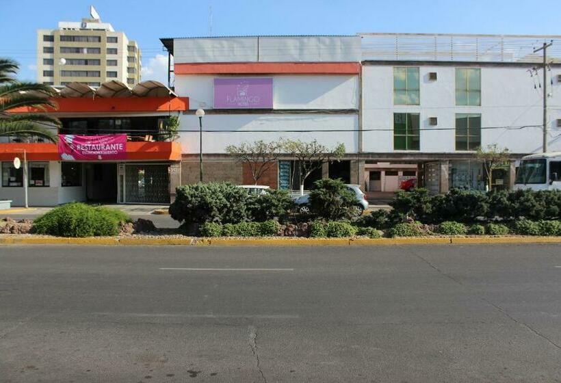 هتل Flamingo Irapuato