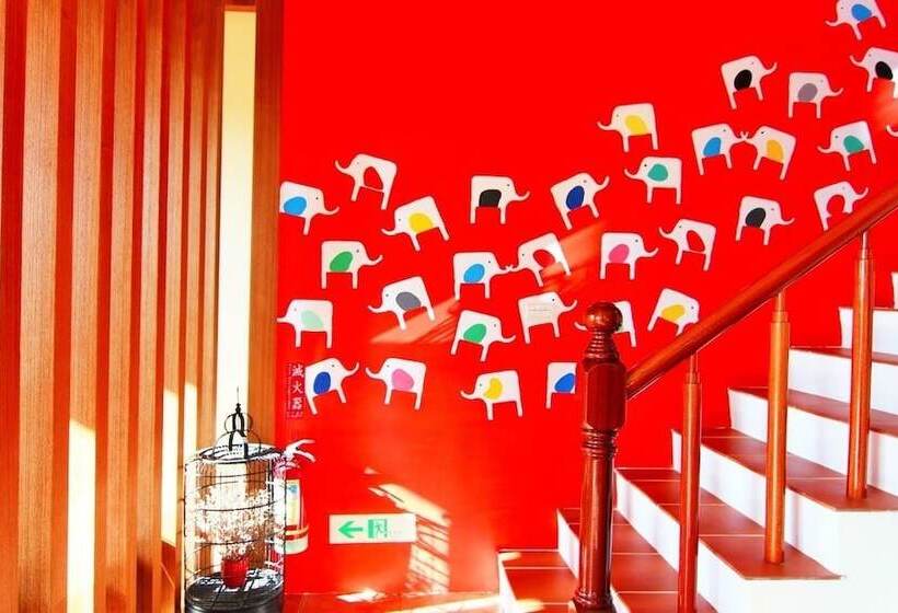 تختخواب و صبحانه Ibali Hostel