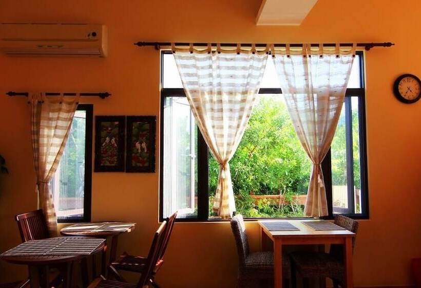 تختخواب و صبحانه Ibali Hostel