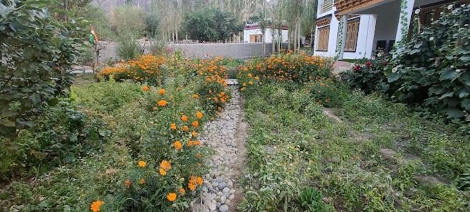 فندق The Nubra Residency, Hunder