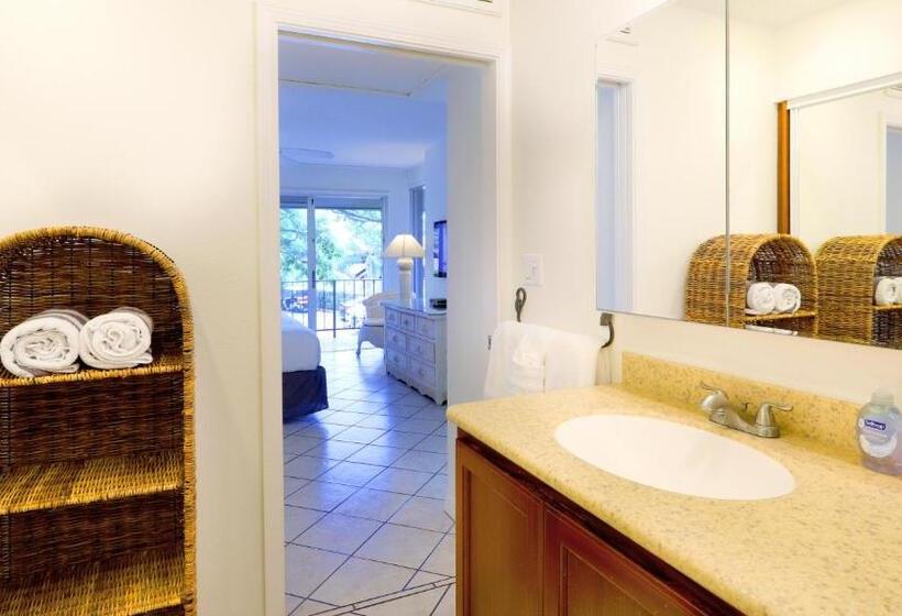 Maui Eldorado B200 Large Lanai W/ocean/golf Course Views