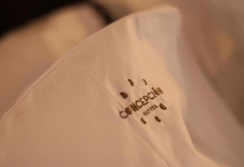 Concepción Hotel Boutique   Adults Only