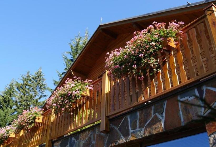 Pension Aspen Harrachov