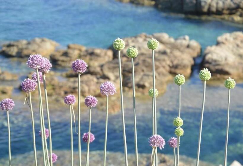 צימר La Striscia Larga