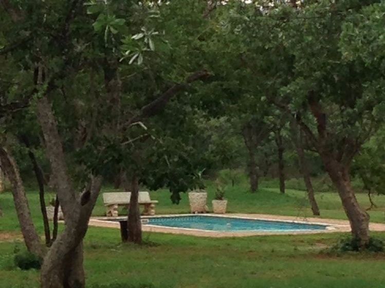 فندق Buyskop Lodge