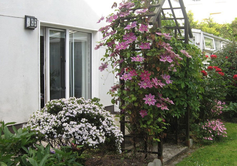 Отель Green Hill B&b