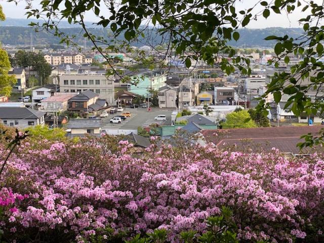 فندق Hatago Hashimoto