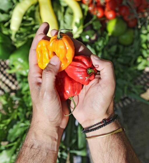 Livin Mykonos Hotel   Adults Only