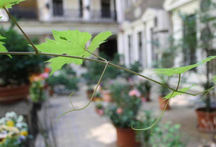 ペンション Omega Guesthouse Budapest