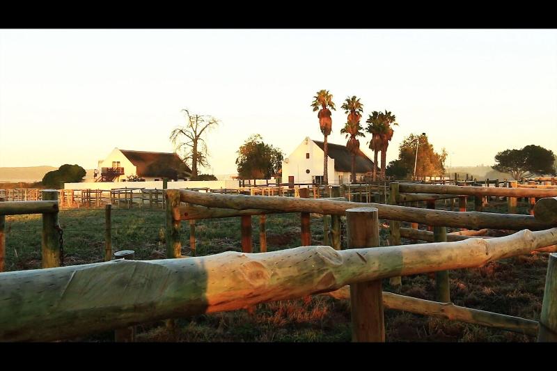 פנסיון Zoutpan Struishuis