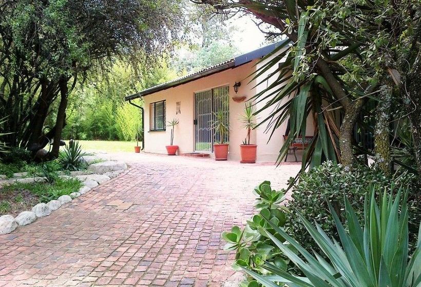 Pine Tree Lodge