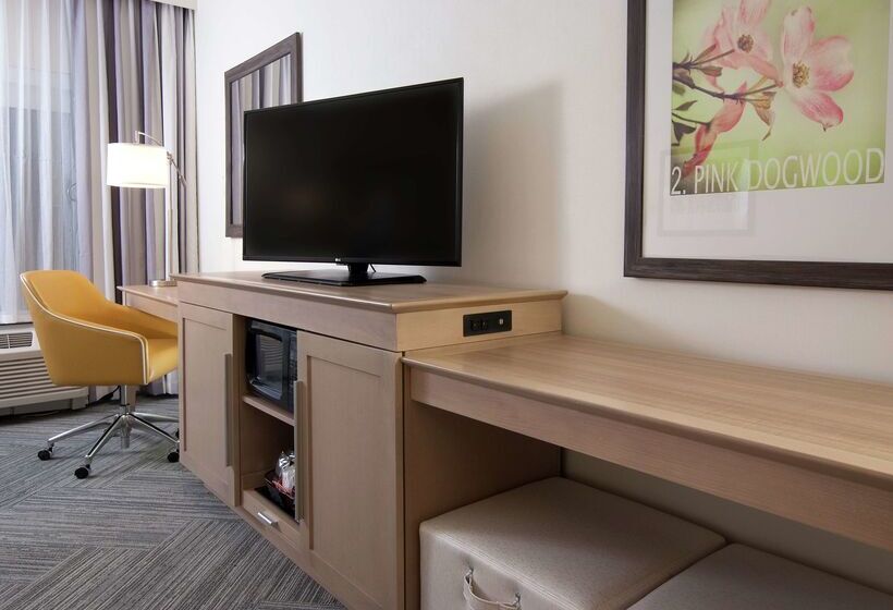 هتل Hampton Inn & Suites By Hilton Augustawashington Rd