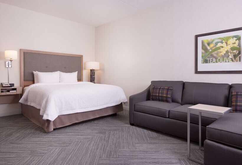 هتل Hampton Inn & Suites By Hilton Augustawashington Rd