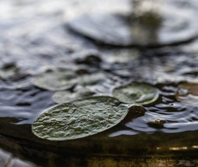 هتل Pousada Ceara  Porto Das Dunas