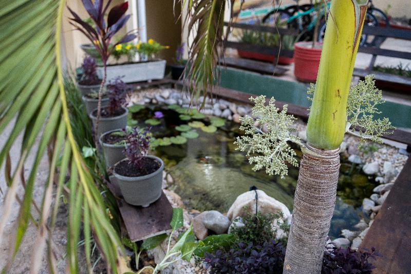 هتل Pousada Ceara  Porto Das Dunas