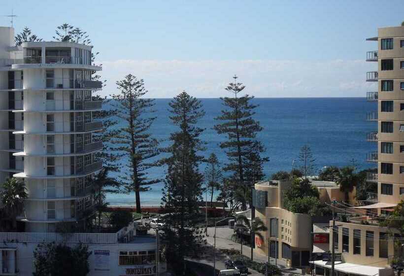 Pandanus Mooloolaba
