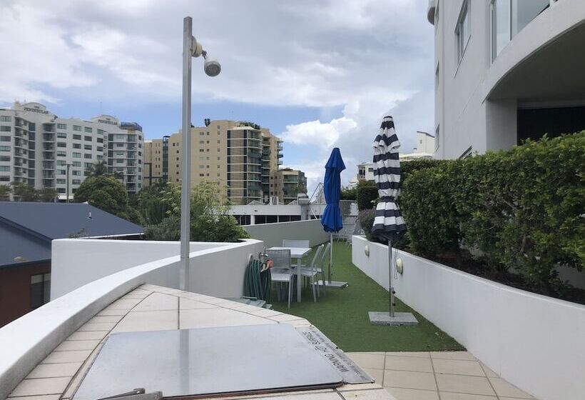 Pandanus Mooloolaba