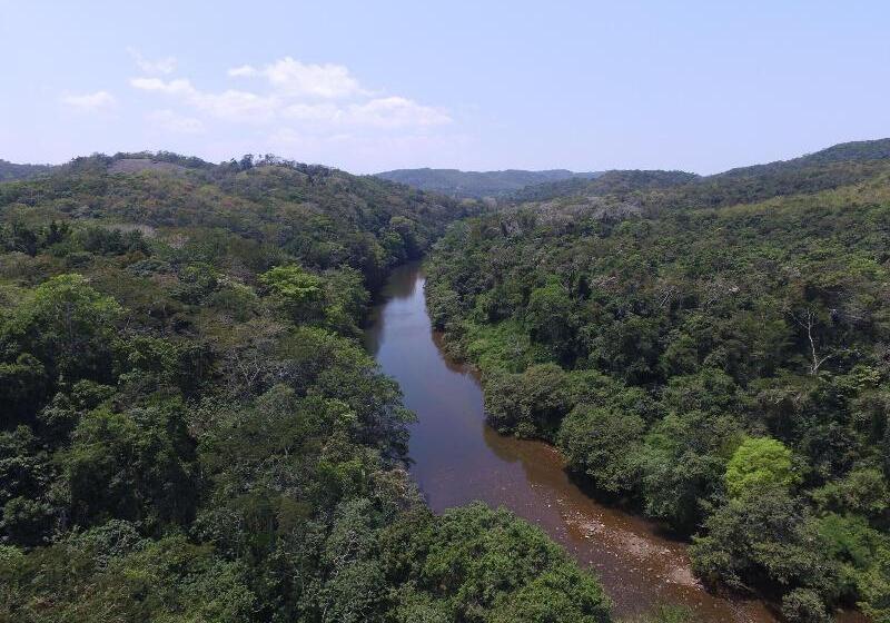 בית מלון כפרי Table Rock Jungle Lodge