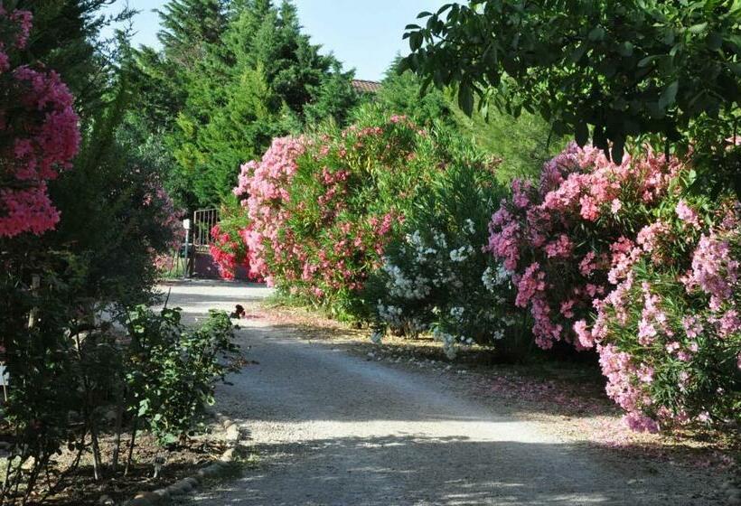 צימר La Ferme De Tonton Jules Et Mamé Julia
