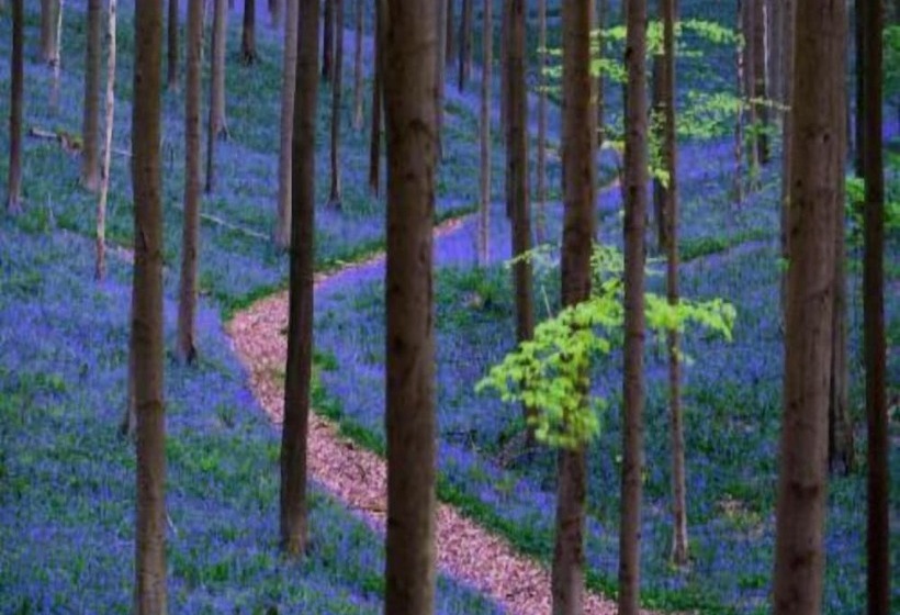 ホテル Gravenhof