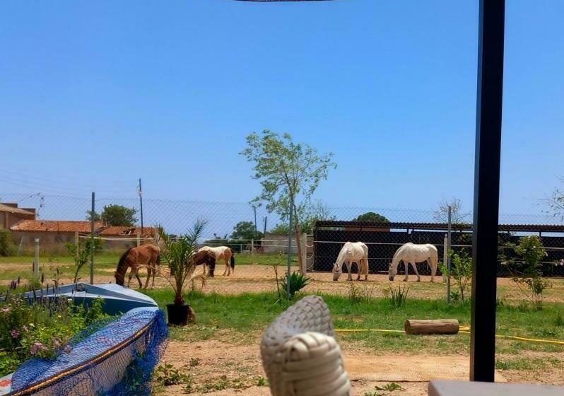 ホテル Finca Caballito De Mar