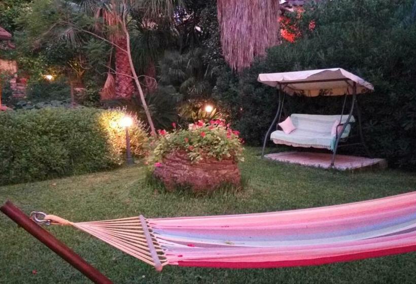Phoenix B&b