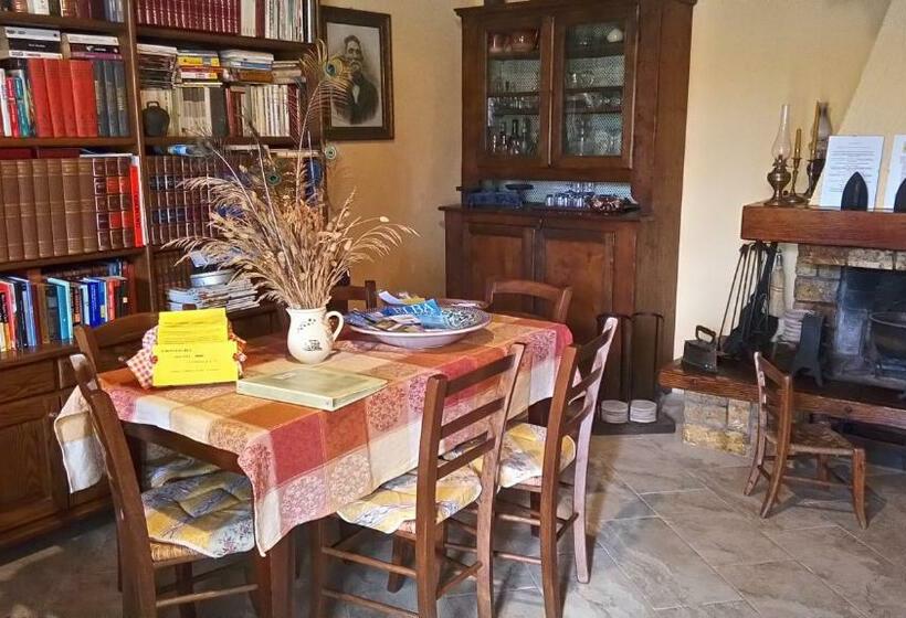 Phoenix B&b