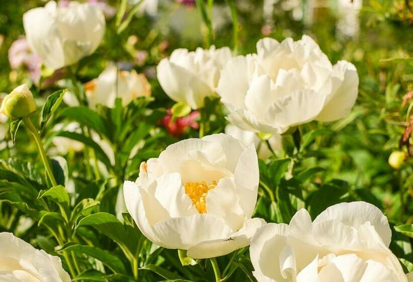 مبيت وإفطار The Waldoboro Inn Room 3