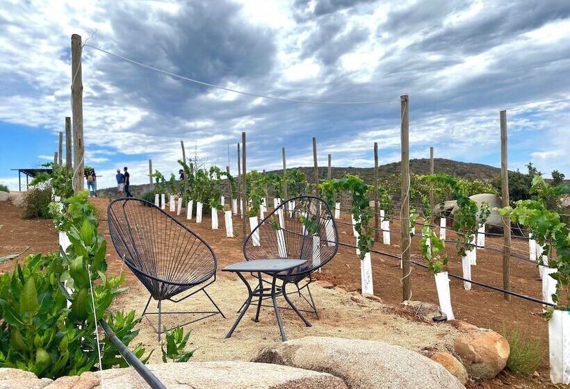 فندق Numa Wine Eco Suites