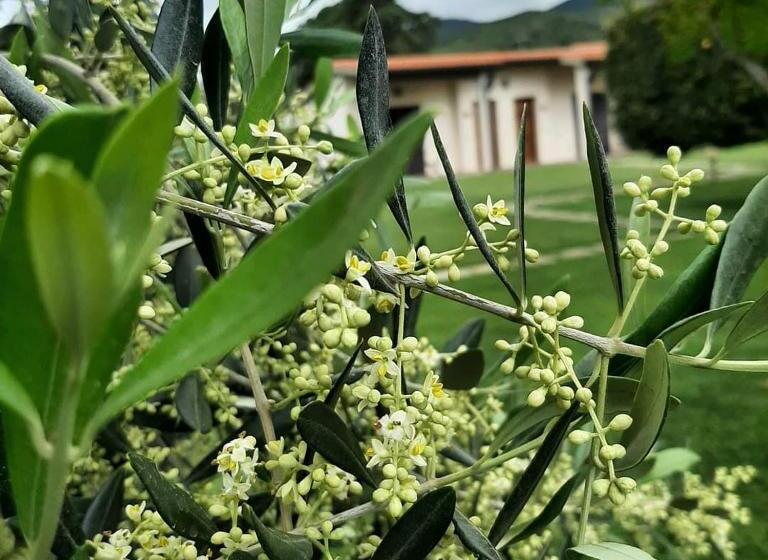 Отель Agriturismovalbona