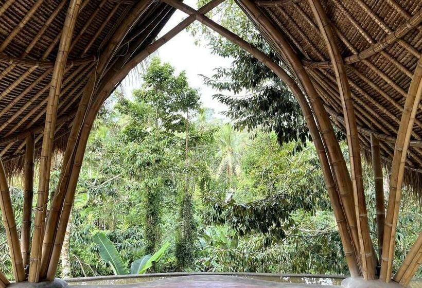 住宿加早餐  Mahottama Wellness And Retreat