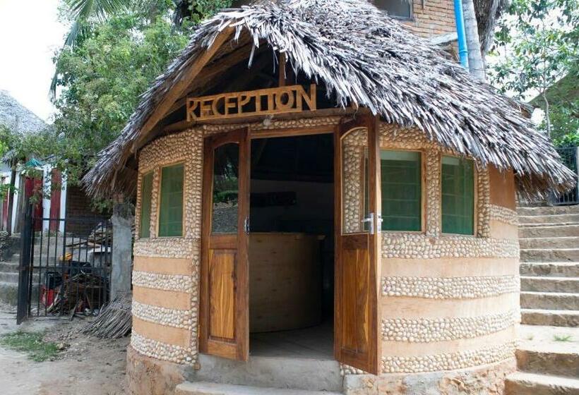 פנסיון Aflii Guest House
